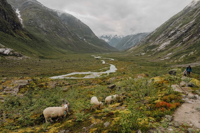 Quality Assurance of Norway's KiN Agricultural Climate Mitigation Assessment Framework