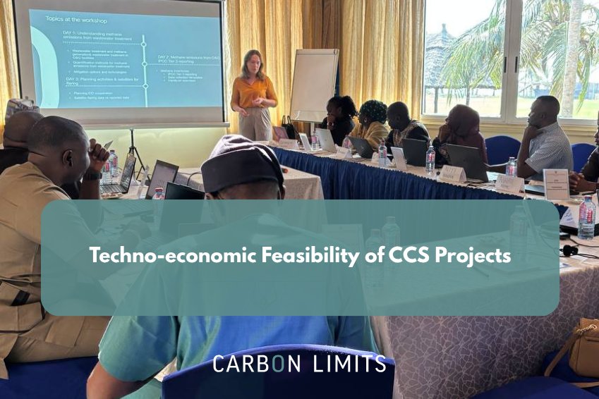 Techno-economic Feasibility of CCS Projects