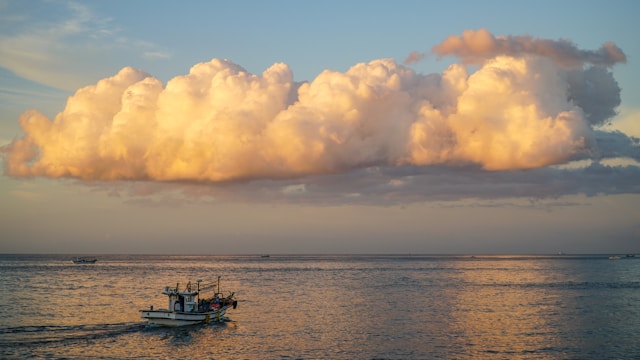Assessing Blue Carbon & Marine Projects and National Readiness for Article 6