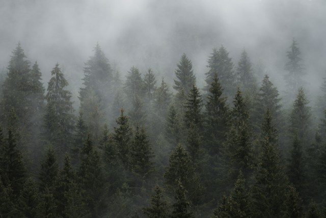 Understanding Methane Emission Sources in Mist