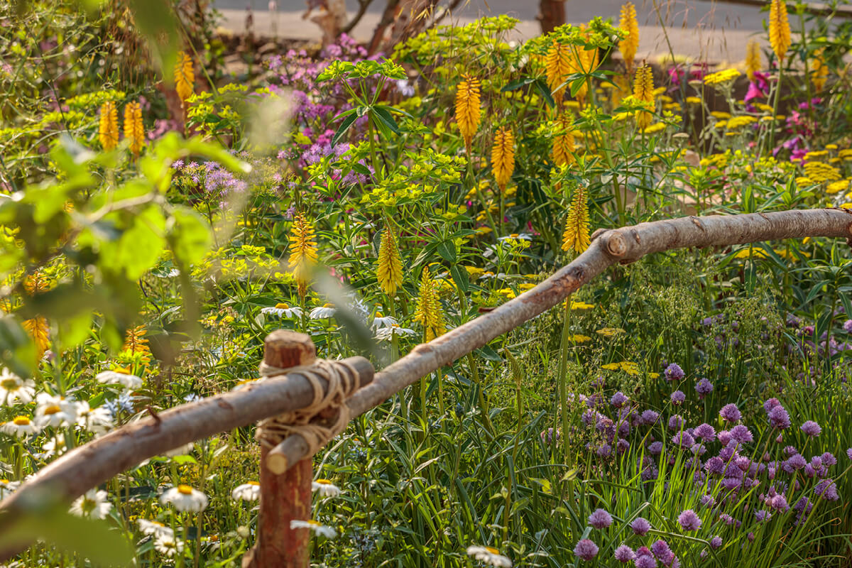 Planting Habitats image