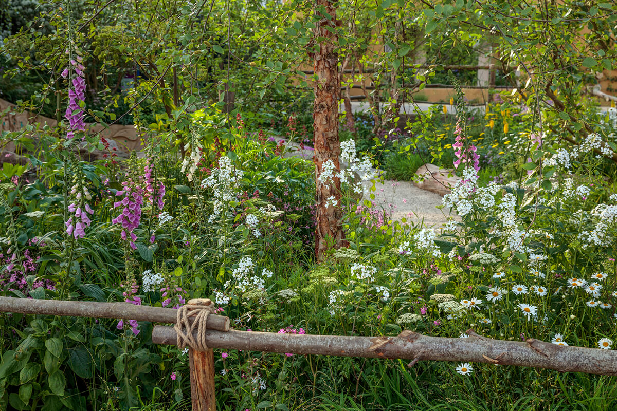 Planting Habitats image
