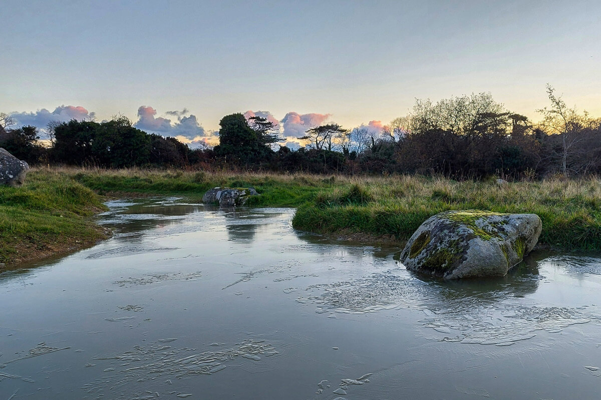 Shuttleworth Botanic Garden Awarded Botanic Garden Status by BGCI