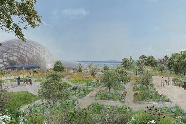 BBC News feature The Eden Project: Bring Me Sunshine Garden