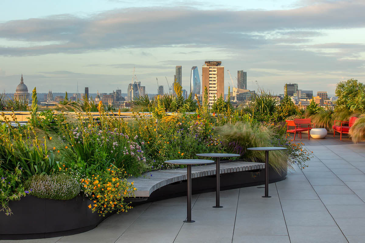 Angel Square Rooftop Garden