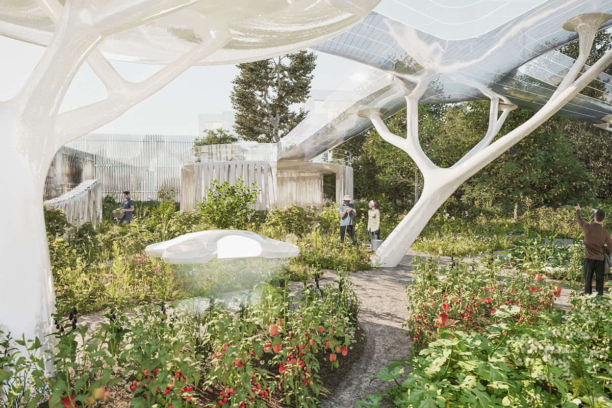 British Library: Food & Medicine Garden image