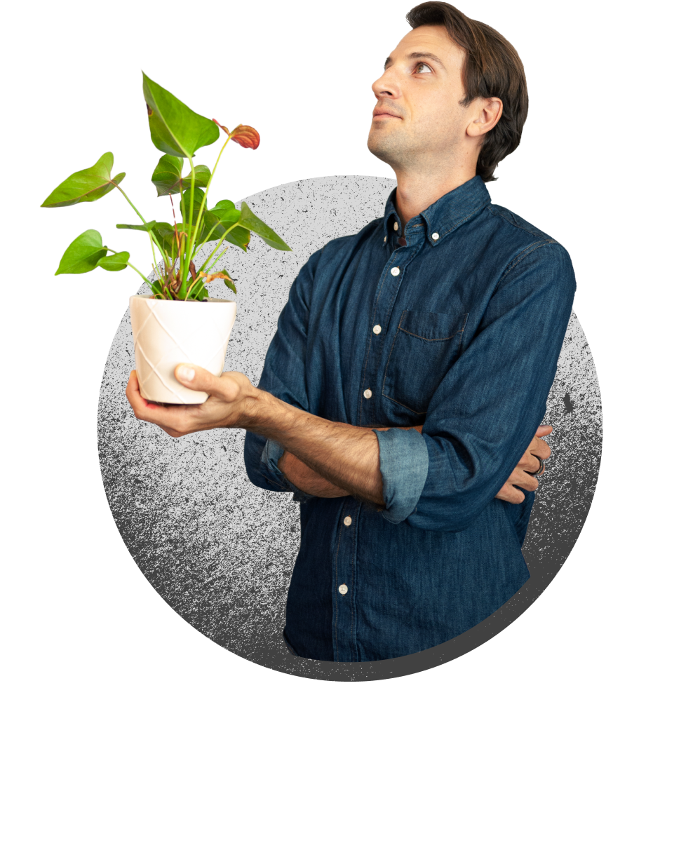 Nick Schaffner, Director of Design