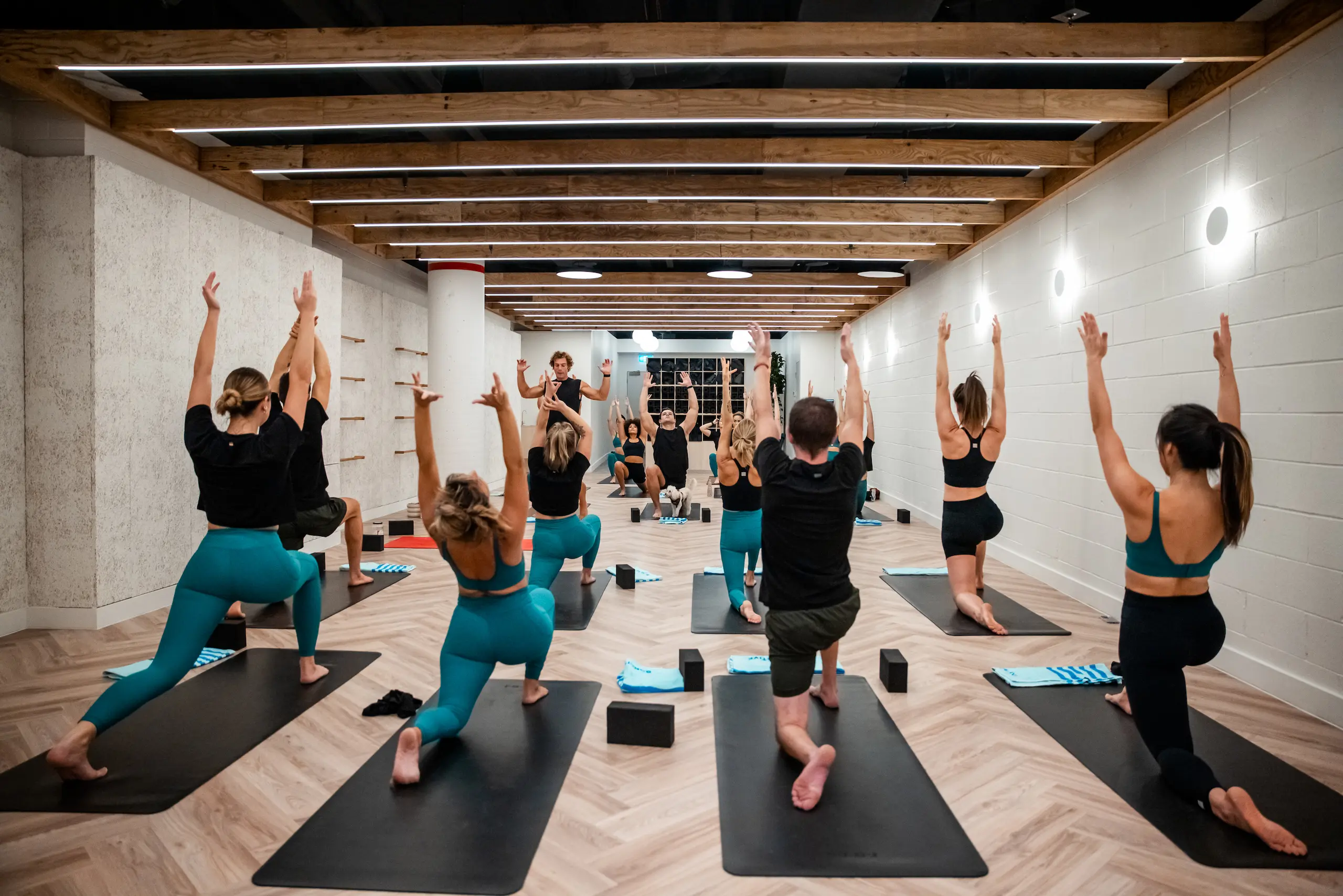 People practising yoga in Bondi Studio