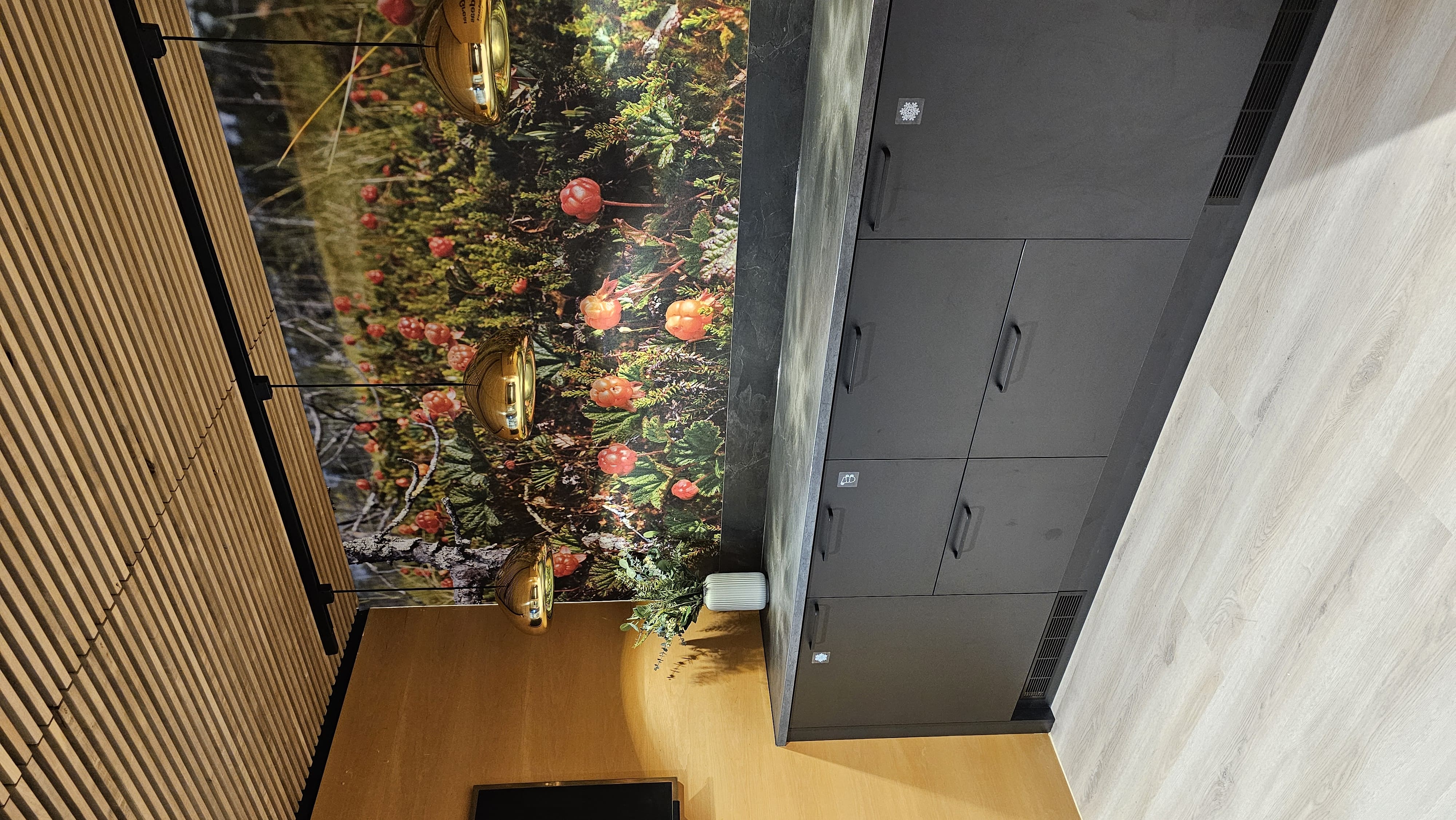 Colony small offices