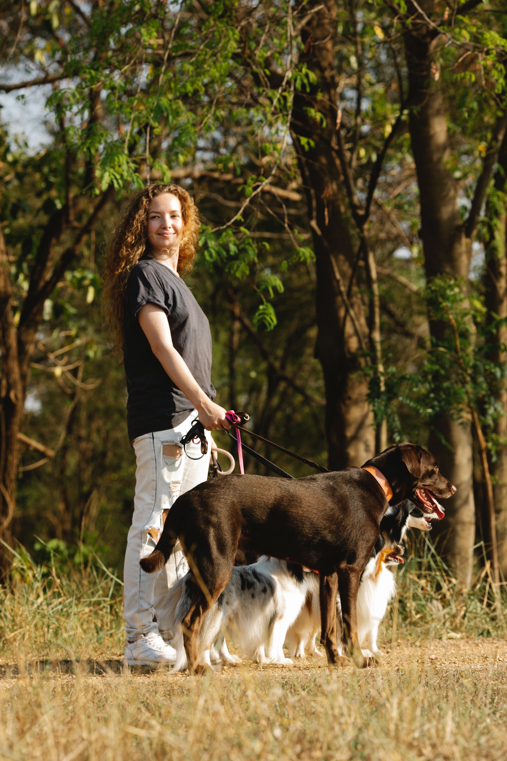 Dog Walking