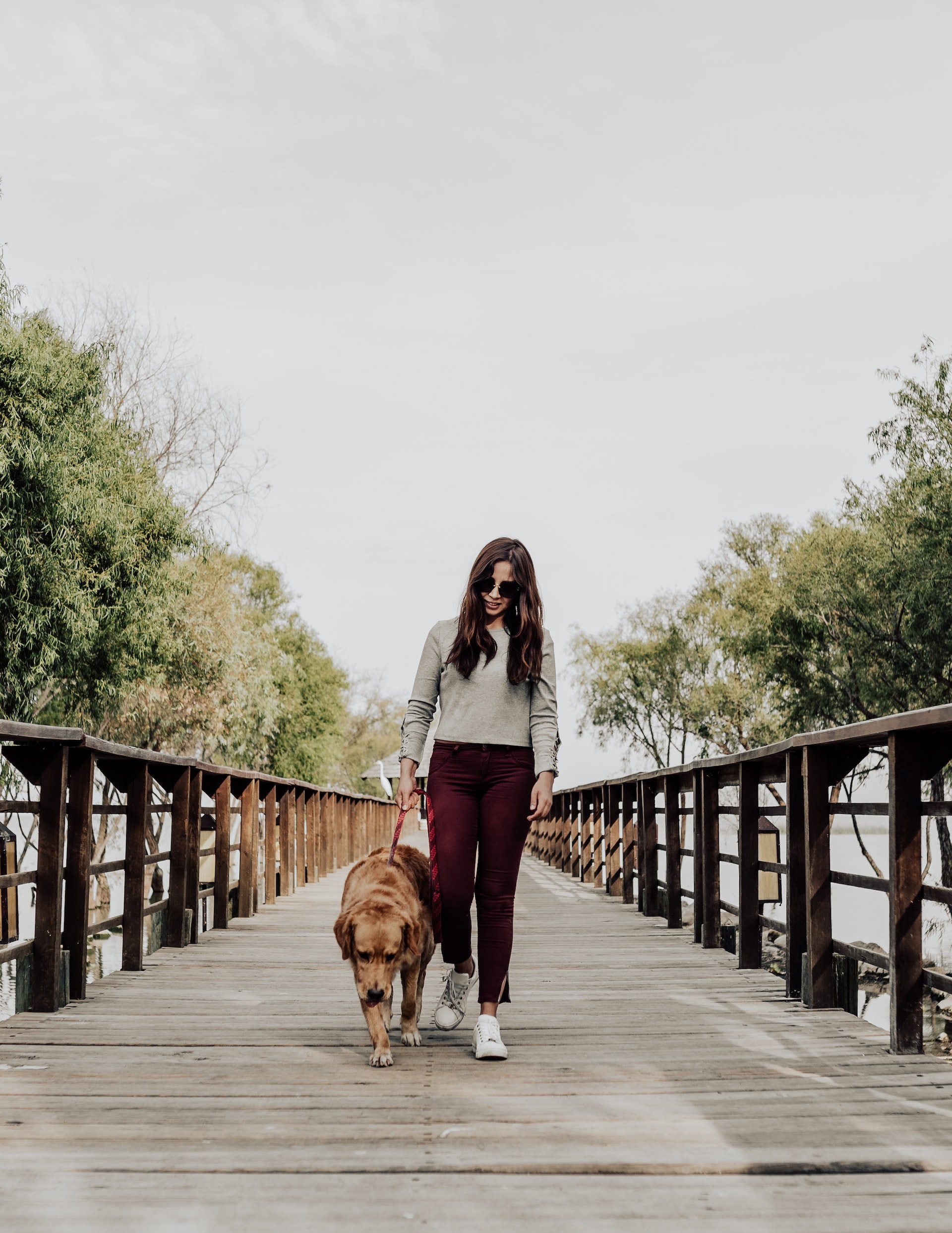 Best Dog-friendly Holiday Destinations