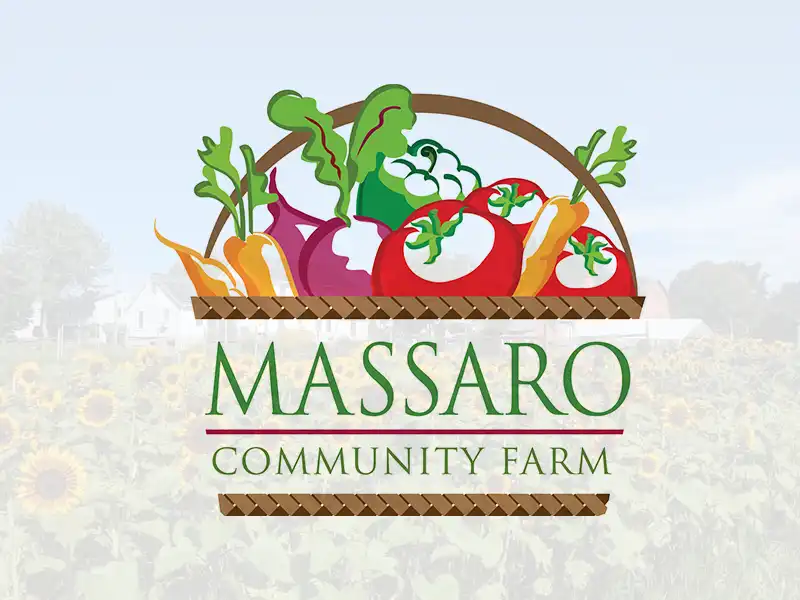 Illustration of a woven basket filled with colorful vegetables above the text “Massaro Community Farm,” displayed against a faint sunflower background.