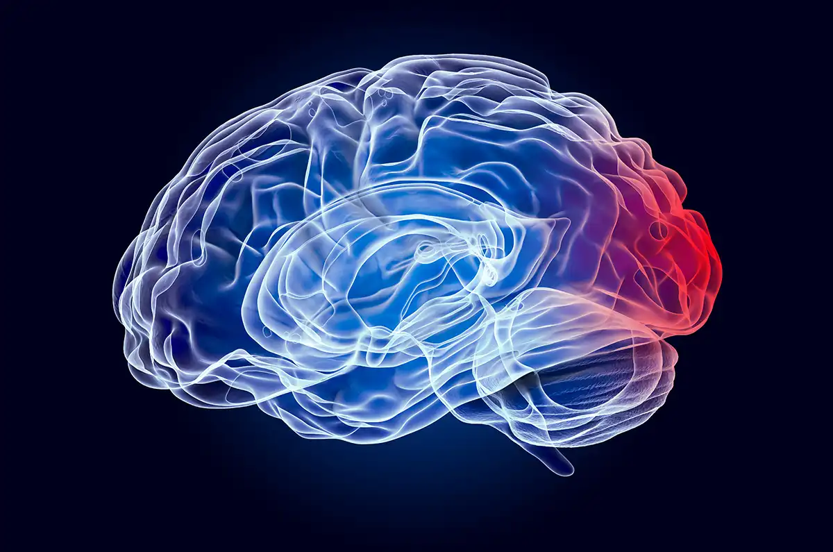 A blue and red brain with a black background