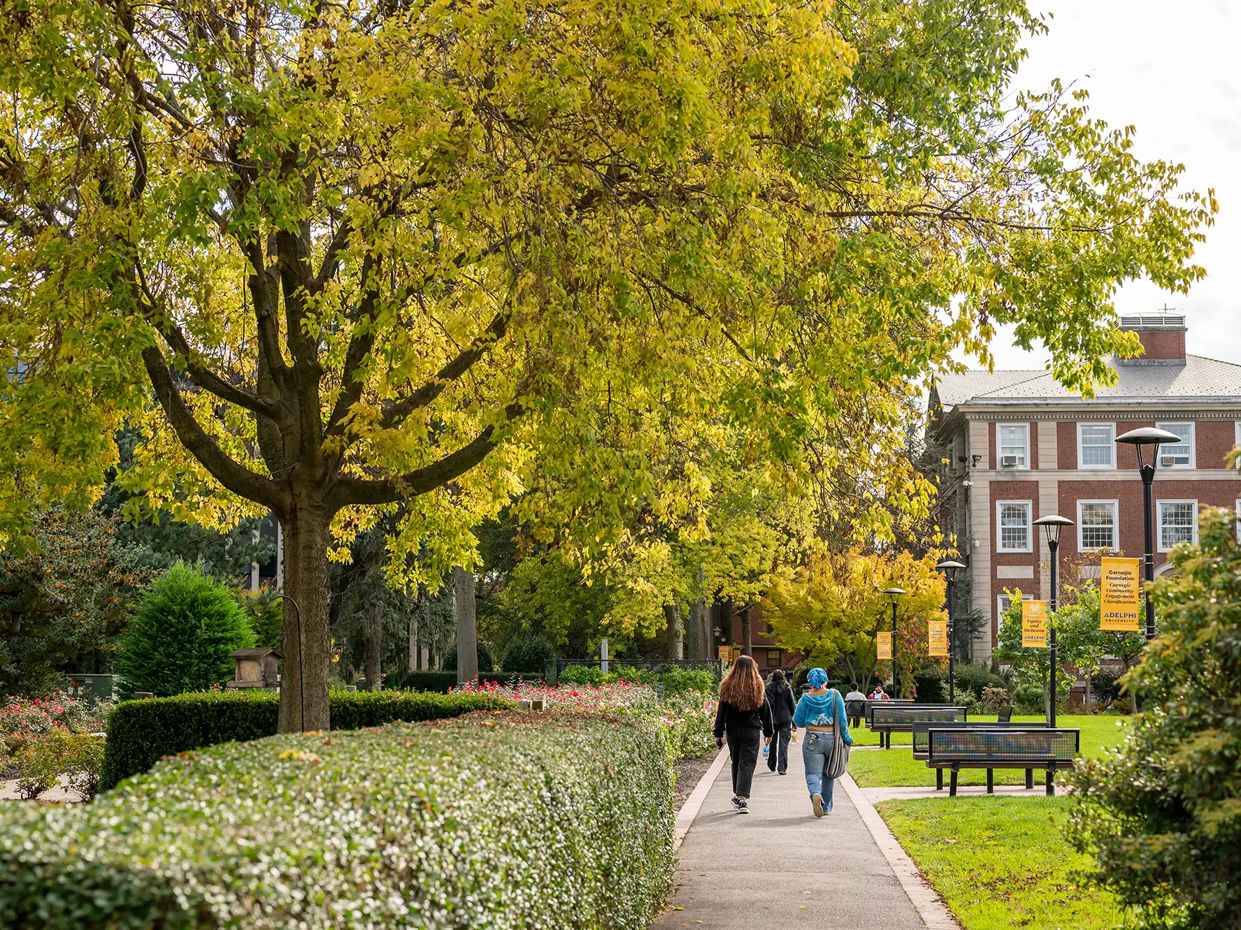 Students walk along a path on the Adelphi University campus in New York, surrounded by vibrant yellow autumn trees and classic brick university buildings.
