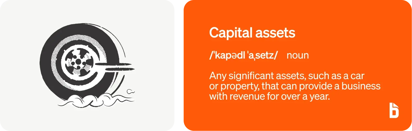 What are capital assets?