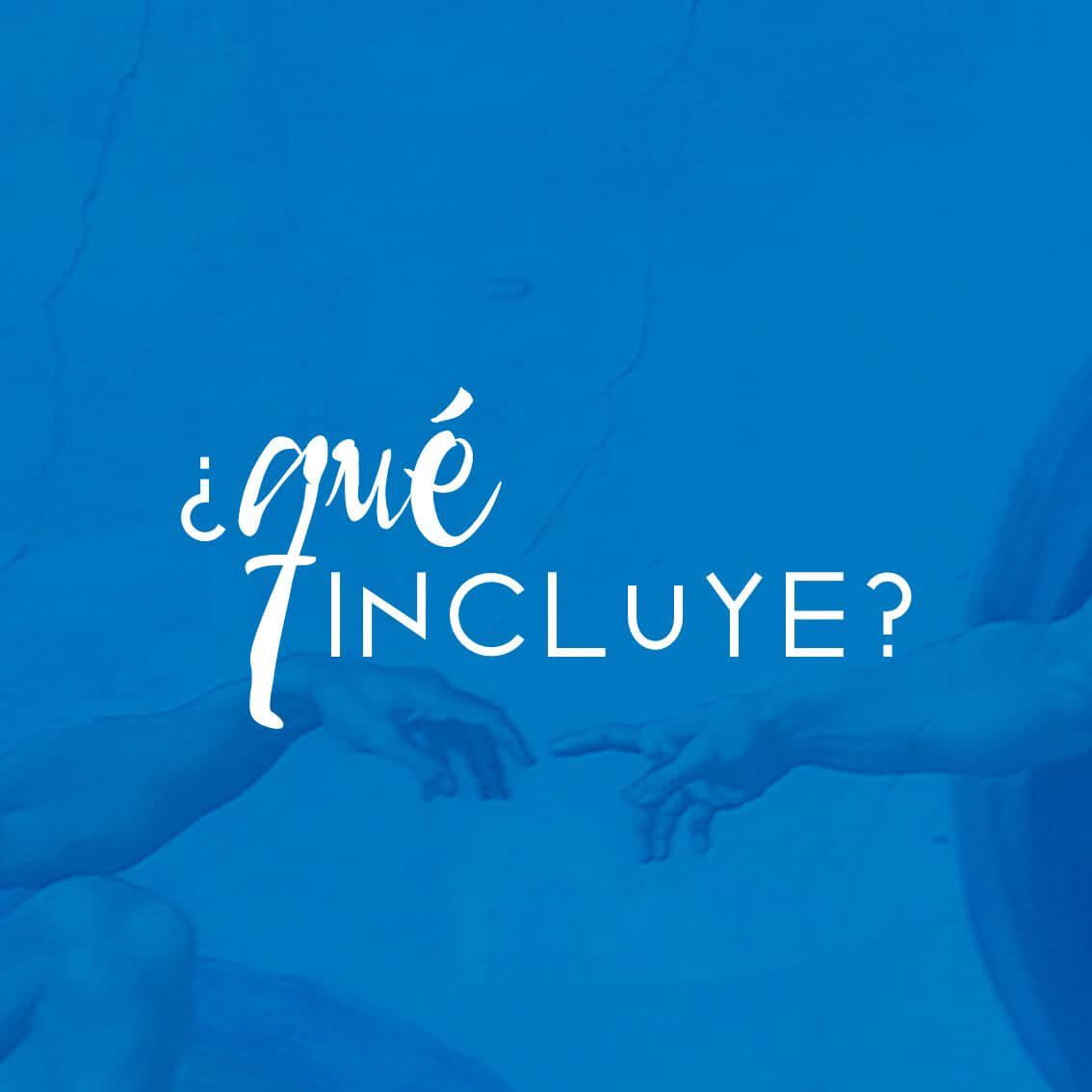 Imagen con el texto ¿qué incluye?