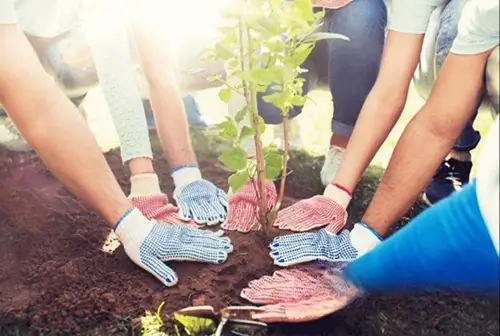 Promote Volunteerism for More Than Company Morale