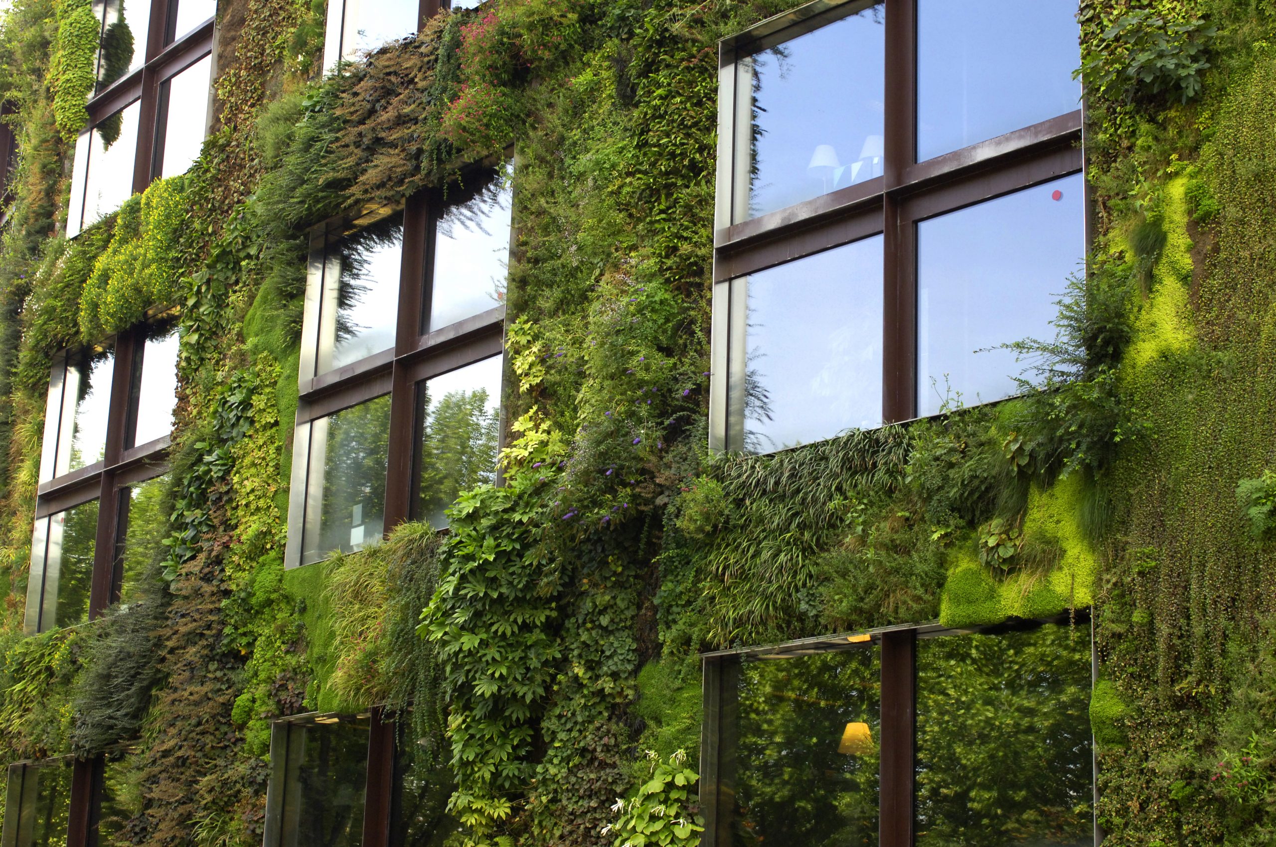 How to Design Green Roofs and Walls for Residential Buildings