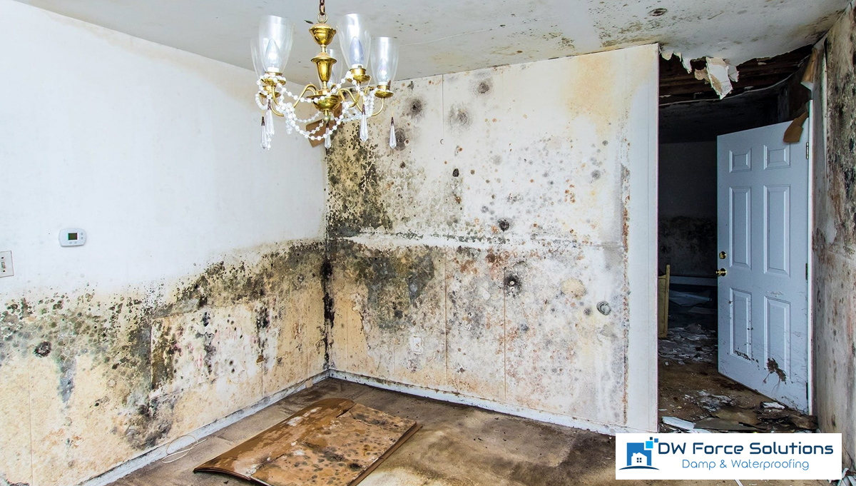 How to Manage Damp and Decay in Historic Homes