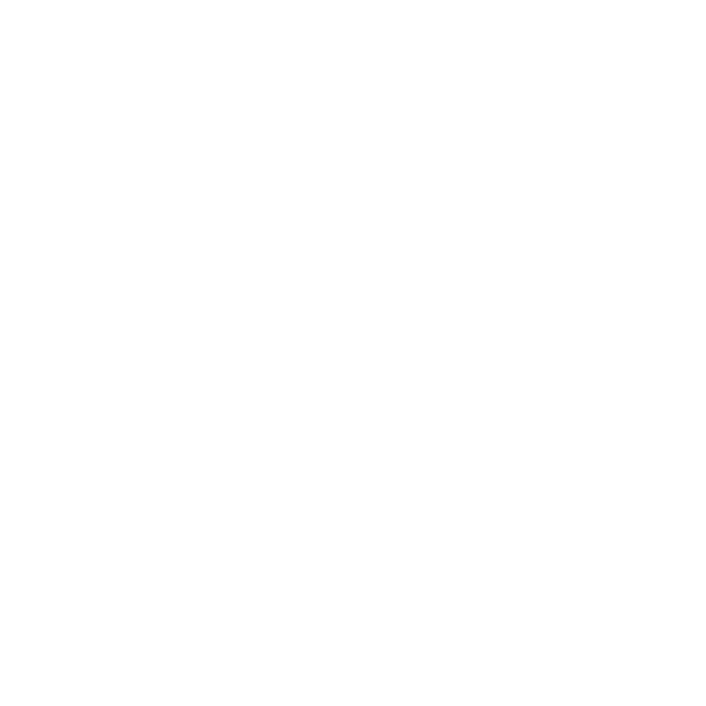 Raleigh Founded Logo