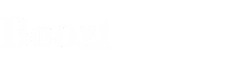 Logo - Boozt