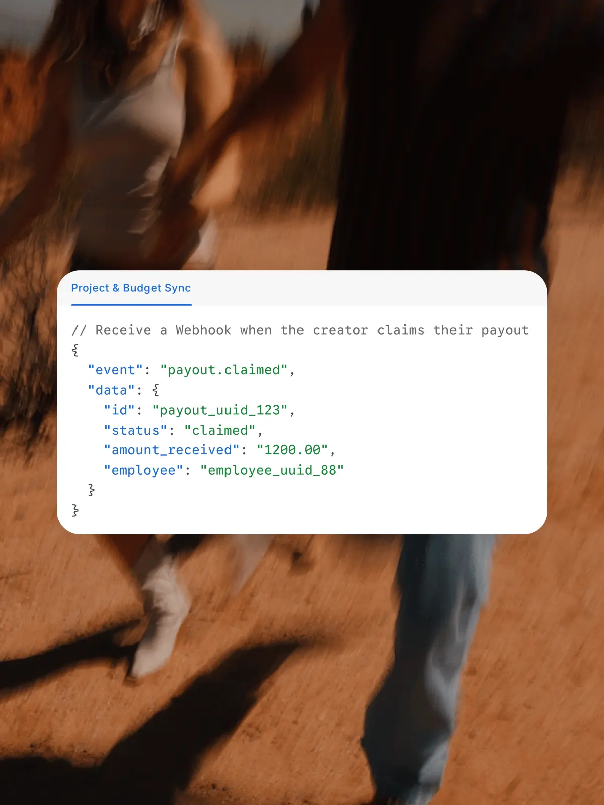 Project & Budget Sync