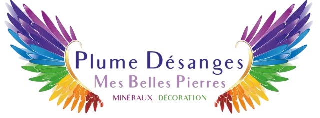 Plume Désanges