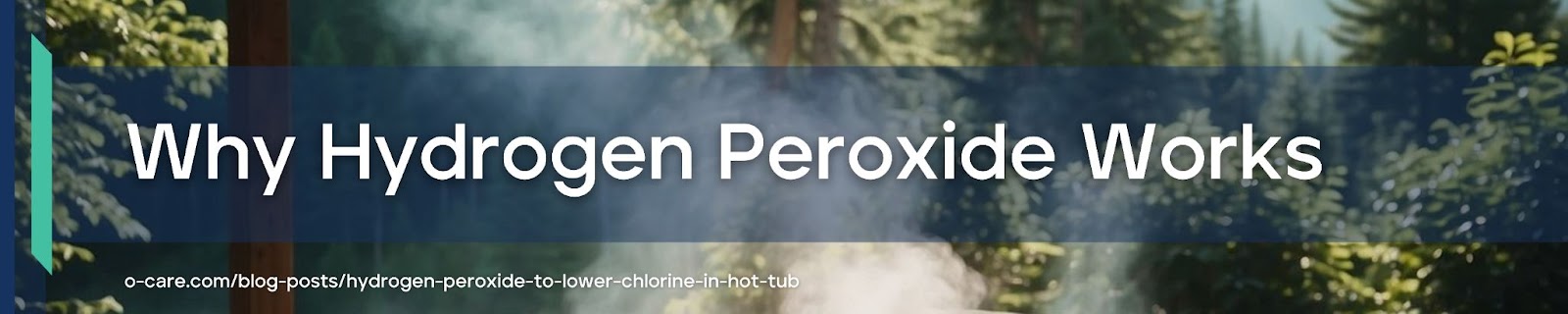 Does hydrogen peroxide work?