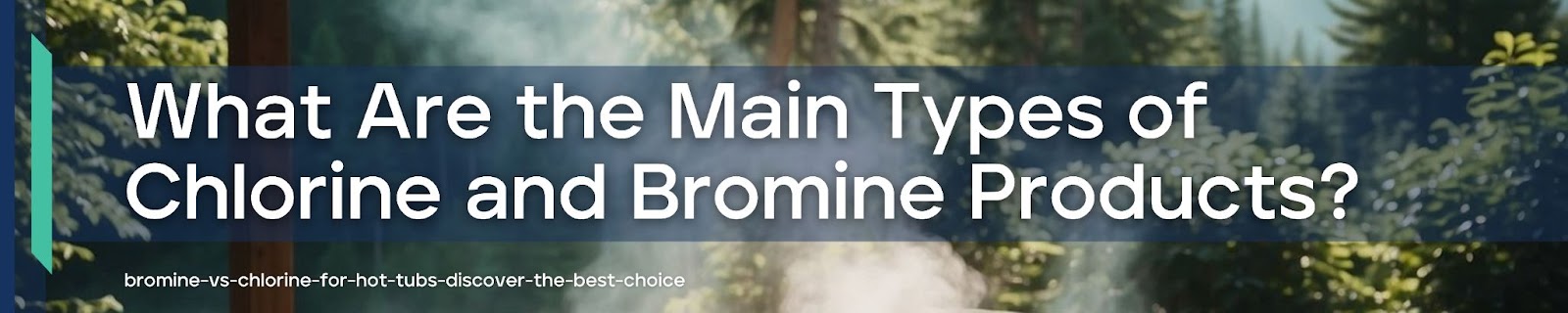 Main types of bromine and chlorine