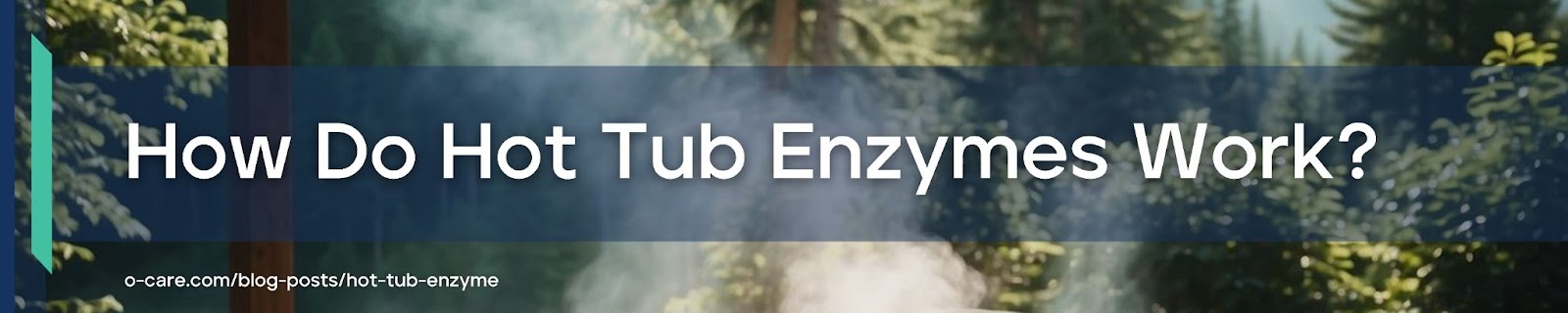 the way spa enzymes work