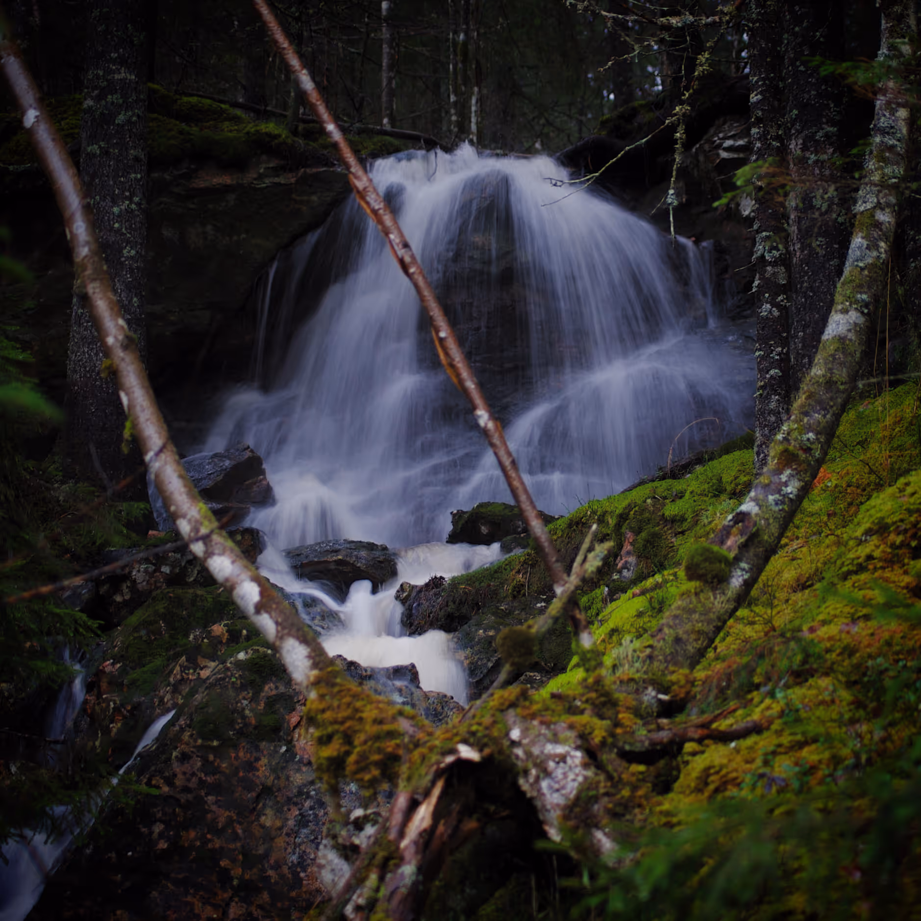Oppfinnere