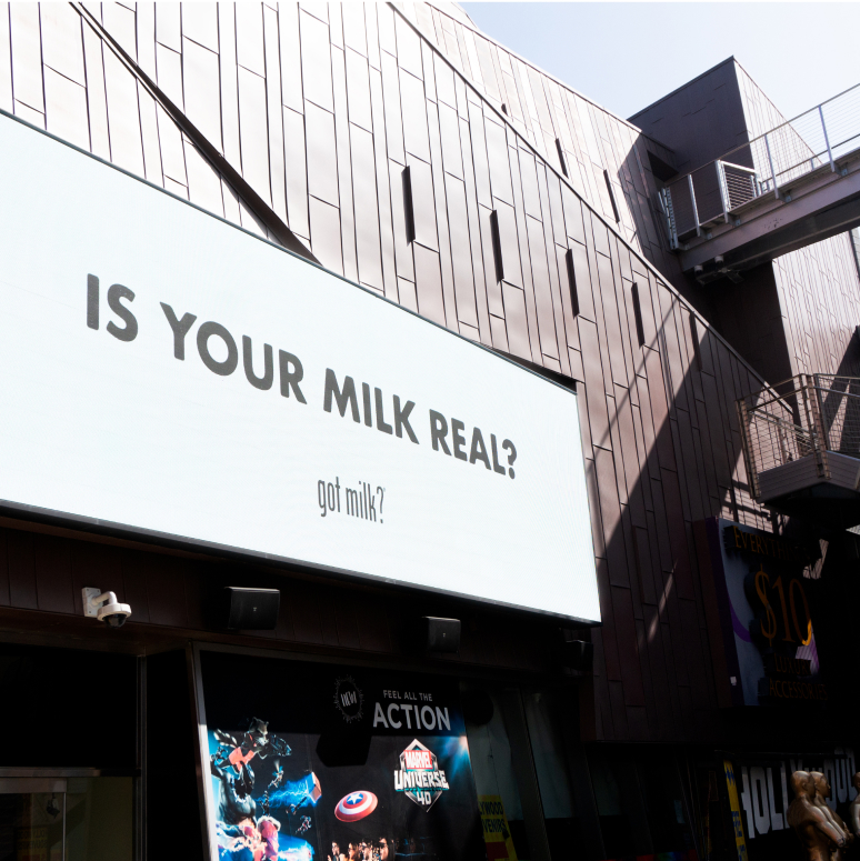 wood milk union square campaign image