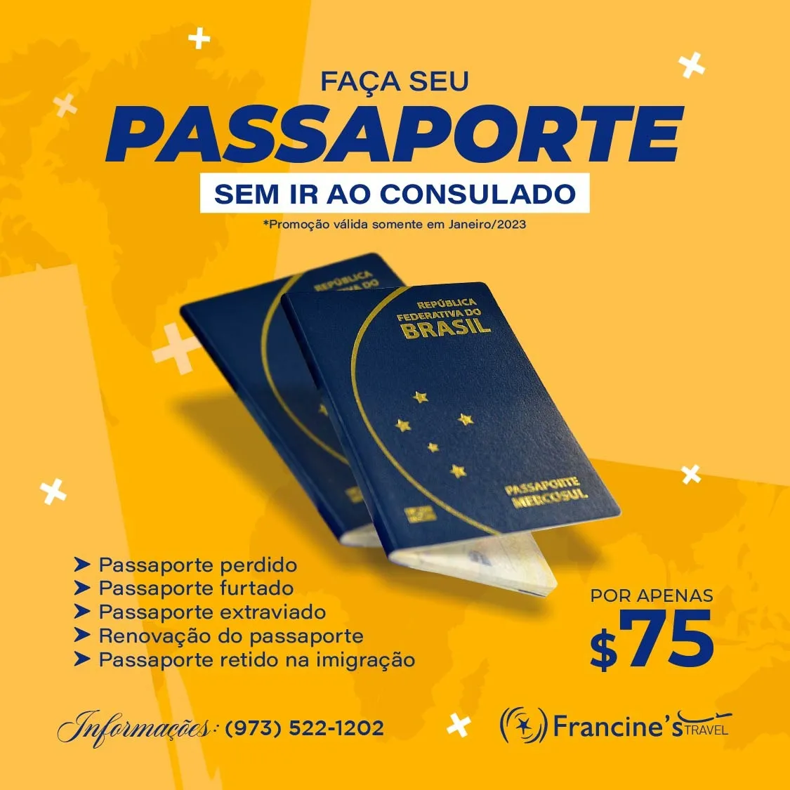 Brazilian Passport Renewal special