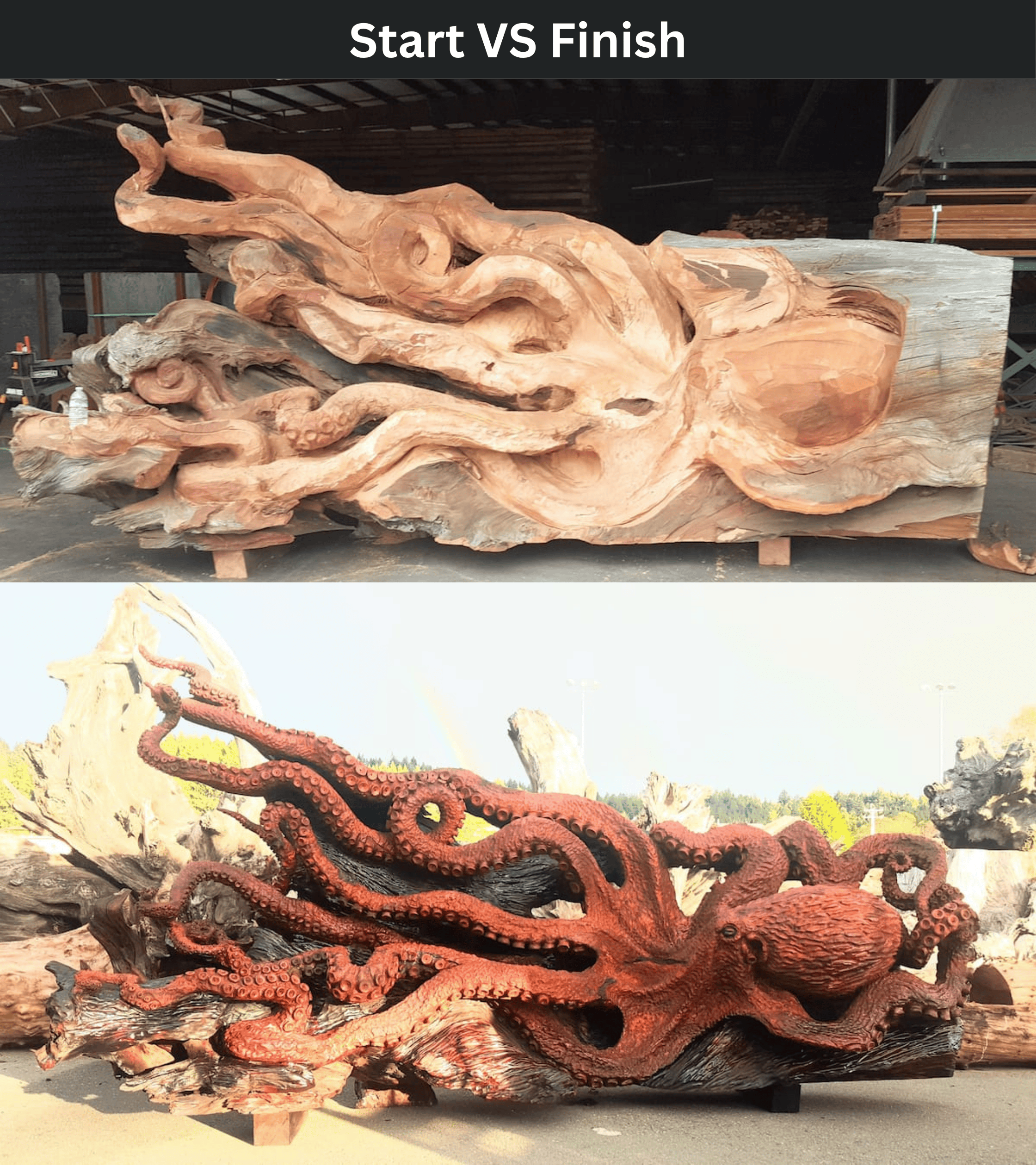 The $150,000 Redwood Octopus: The Viral 14-Foot Masterpiece Carved from a Single Fallen Tree