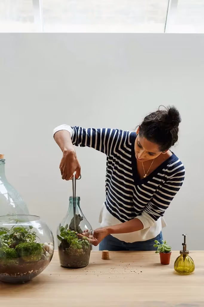 Make Your Own Luxury Terrarium