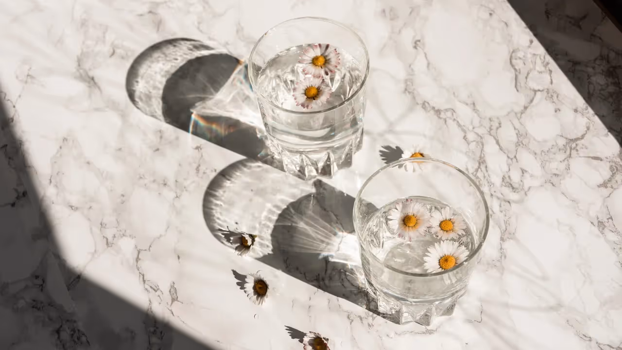 Two glasses are sitting on a marble counter. The glasses are filled with a clear liquid and a garnish of daisies. The sun is shining on them creating shadows. 
