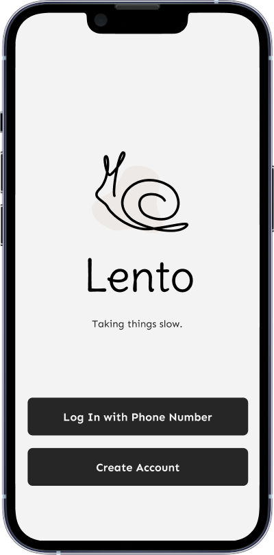 Landing Page with Lento Logo