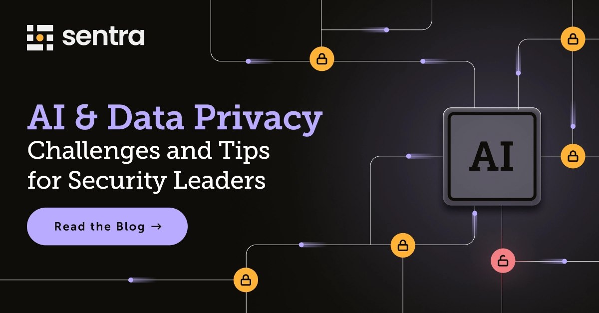 Security Strategies for AI and Data Privacy | Sentra Blog