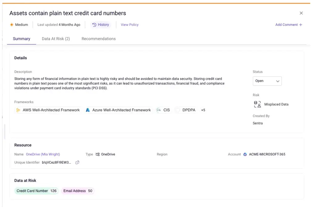Assets contain plain text credit card numbers