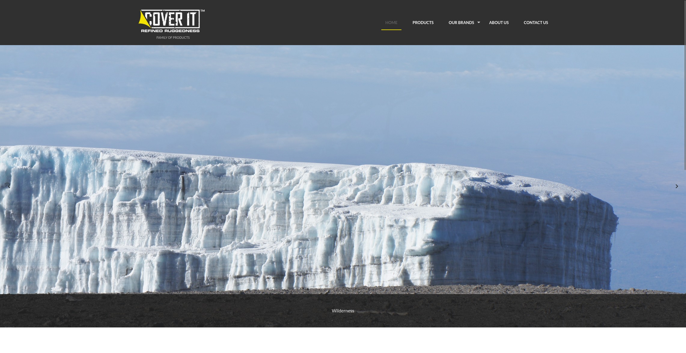 Screenshot of Protea seeds home page