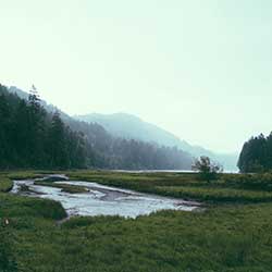 Scott Andrew Alpaugh misty morn