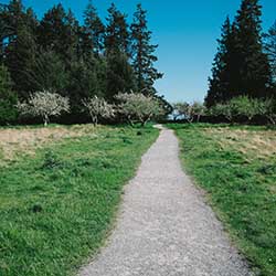 Scott Andrew Alpaugh path