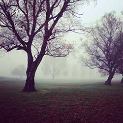 Scott Andrew Alpaugh winter