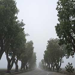 Scott Andrew Alpaugh path