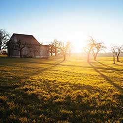Scott Andrew Alpaugh field