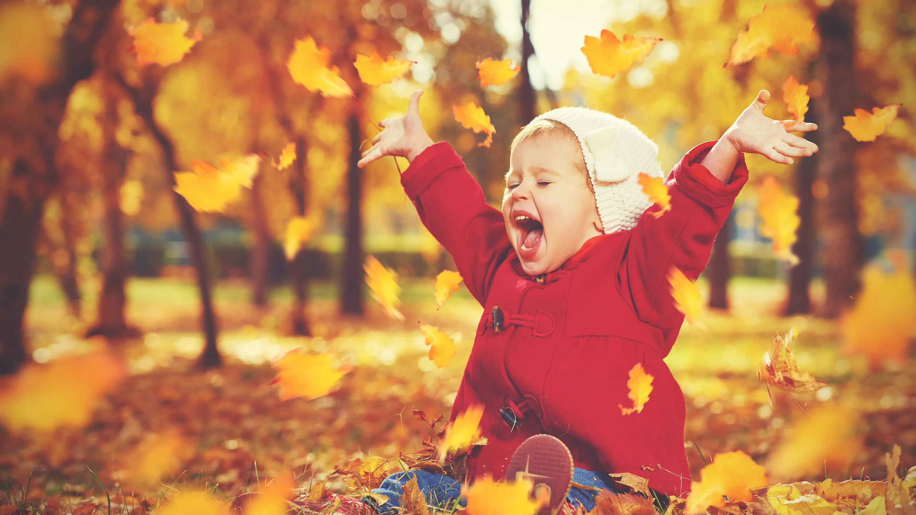 Child playing in autumn leaves