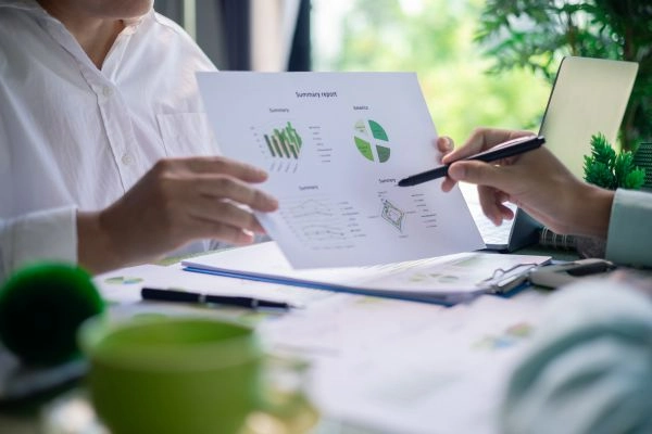 Navigating Sustainability Reporting in New Zealand