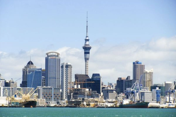 Why SMEs in New Zealand Need a Smarter Approach to Sustainability