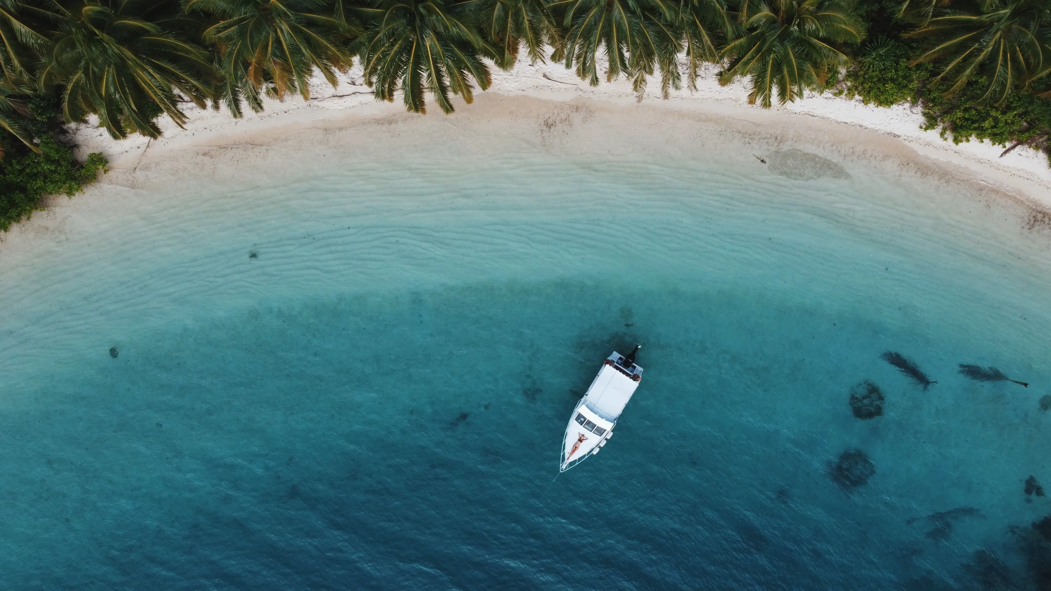 Speed boat