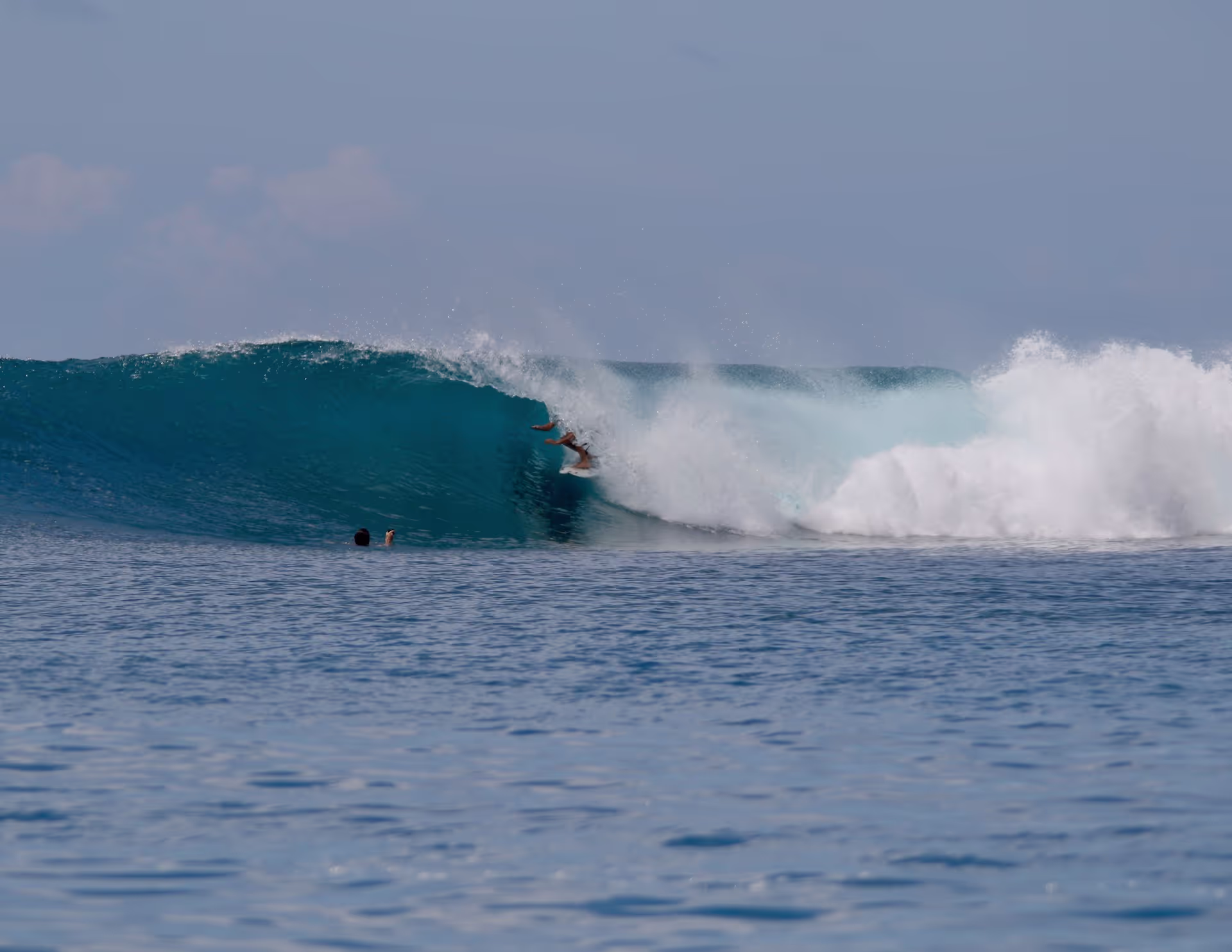 Surf Arkis